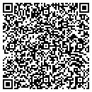 QR code with Blu Agate Pool & Spas contacts