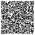 QR code with Wilmer contacts