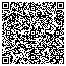 QR code with Pumpmeisters Inc contacts