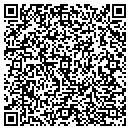 QR code with Pyramid Carwash contacts