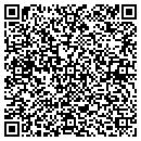 QR code with Professional Eclipse contacts