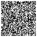 QR code with A A Astro Service Inc contacts
