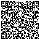 QR code with Project Teach contacts