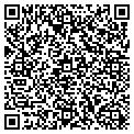 QR code with Stedim contacts