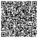 QR code with Cognis contacts