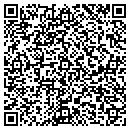 QR code with Blueline Website LLC contacts