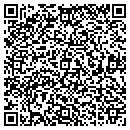QR code with Capitol Painting Inc contacts
