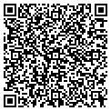 QR code with Cutlip contacts