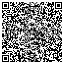 QR code with Public Storage contacts