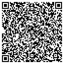 QR code with Cy's Farm Shop contacts