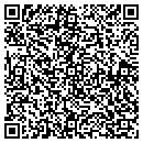 QR code with Primordial Studios contacts