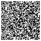 QR code with Publishing Solutions LLC contacts