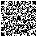 QR code with Pro's Home Repair contacts
