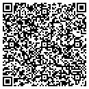 QR code with Carl T Johnson Co contacts