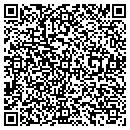 QR code with Baldwin Lake Stables contacts
