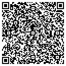 QR code with Punch Components Inc contacts