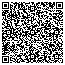QR code with Cyber Island Shells contacts