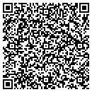 QR code with Pump It Up Party contacts