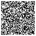 QR code with Subway contacts