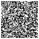QR code with Pro Painting contacts