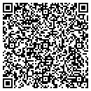 QR code with Punch It Co Inc contacts