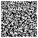 QR code with Professional Pools contacts