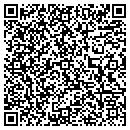 QR code with Pritchard Ins contacts