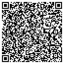 QR code with Pritchard Ins contacts