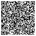 QR code with Modifi contacts