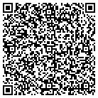 QR code with Blue Skies Painting Co LLC contacts