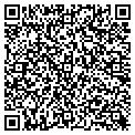 QR code with Curves contacts
