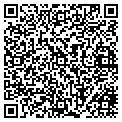 QR code with YMCA contacts