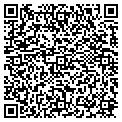 QR code with Todds contacts