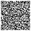 QR code with Clv Delivery Inc contacts
