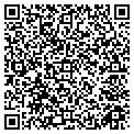 QR code with Msm contacts