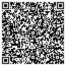 QR code with Precision Repoint contacts