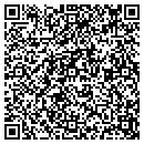 QR code with Production Pattern Co contacts