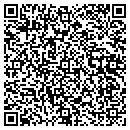 QR code with Productivity Systems contacts