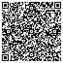 QR code with Psg Construction Inc contacts