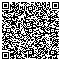 QR code with Celadon contacts