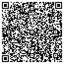 QR code with Bridges Systems contacts