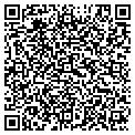 QR code with Alltel contacts
