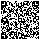 QR code with PPI Graphics contacts