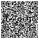 QR code with Pyronics Inc contacts