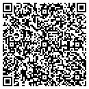 QR code with Pyramids Heating & Air contacts