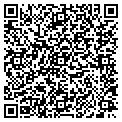 QR code with STM Inc contacts