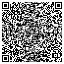 QR code with Pyrotech Intl Inc contacts
