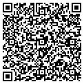 QR code with D Bone contacts