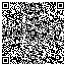 QR code with BCG Systems That Work contacts