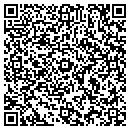 QR code with Consolidated Systems contacts